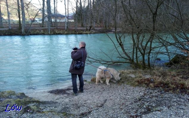 06.01.2018 -  Einer filmt, einer schnuppert